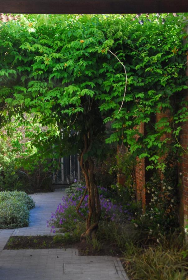 Nostra Signora Bed & Breakfast Brugge Bagian luar foto